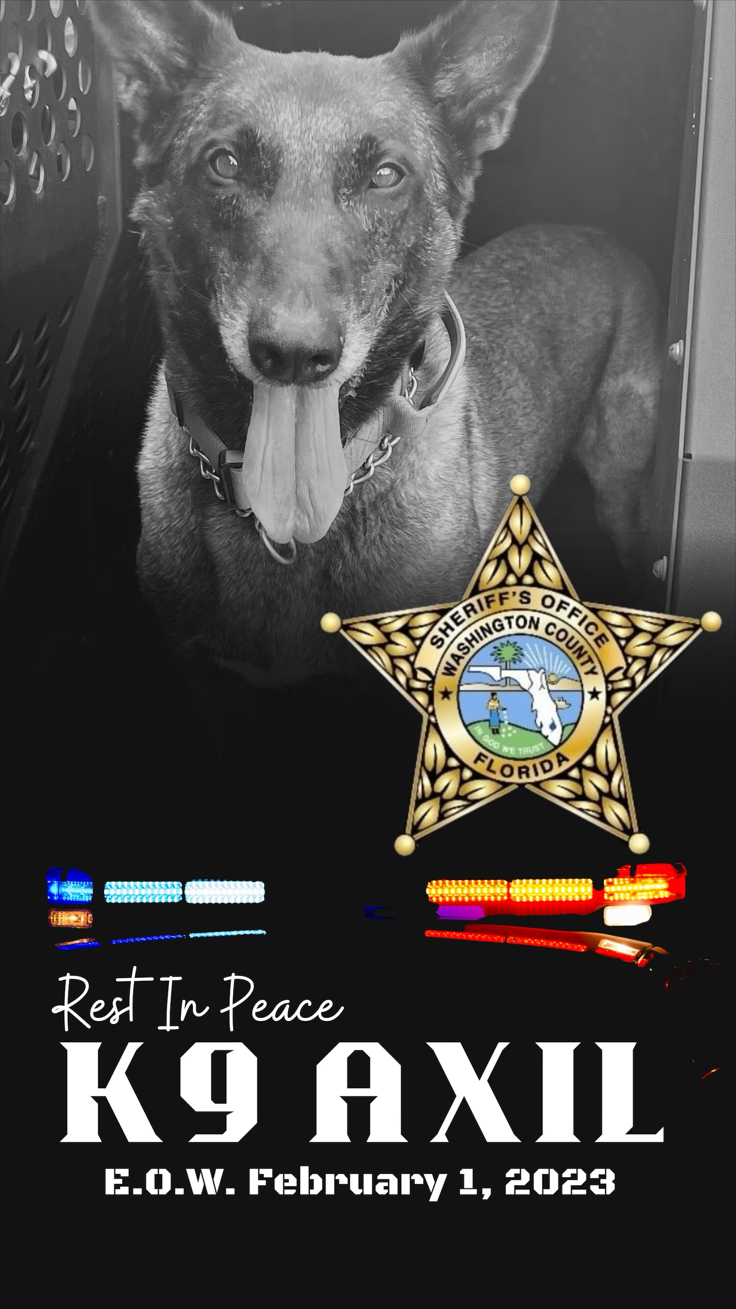 WCSO mourns passing of K-9 Axil