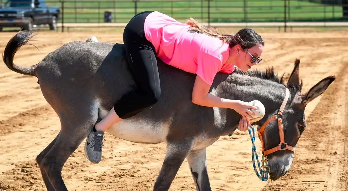 donkey ball