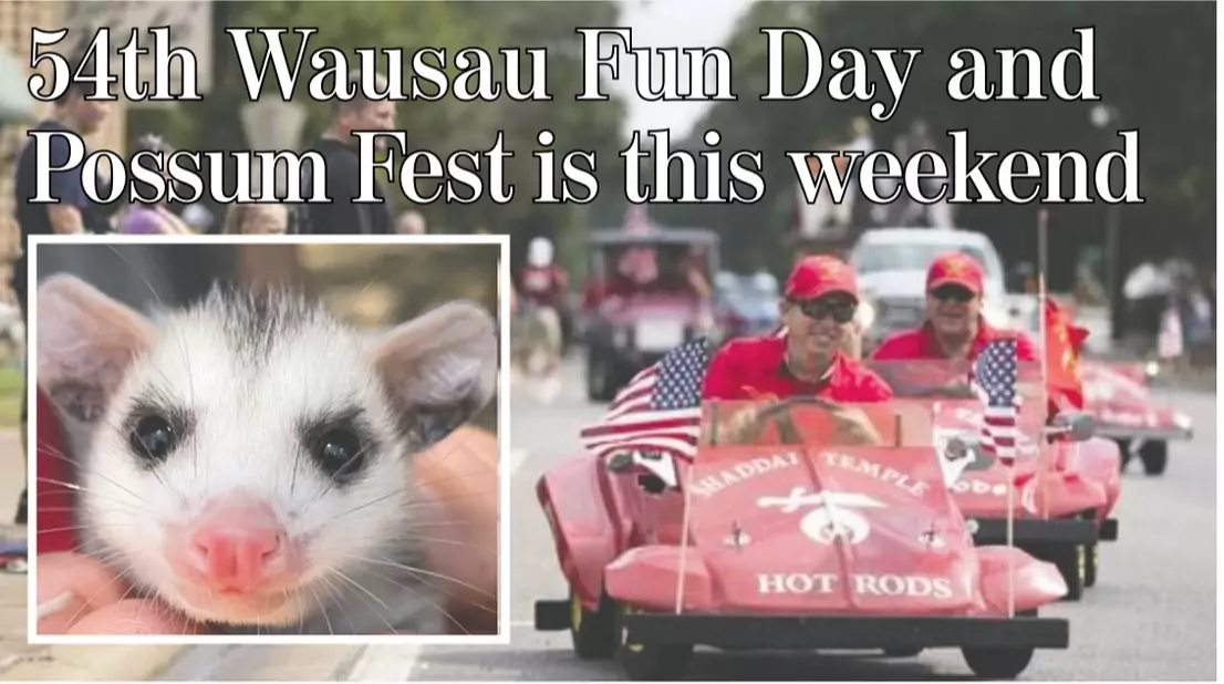 possum 1