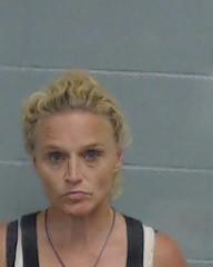 Alford woman arrested on meth charges