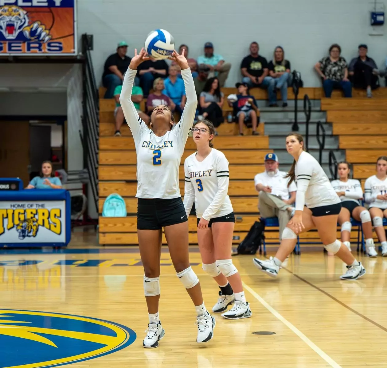 volleyball