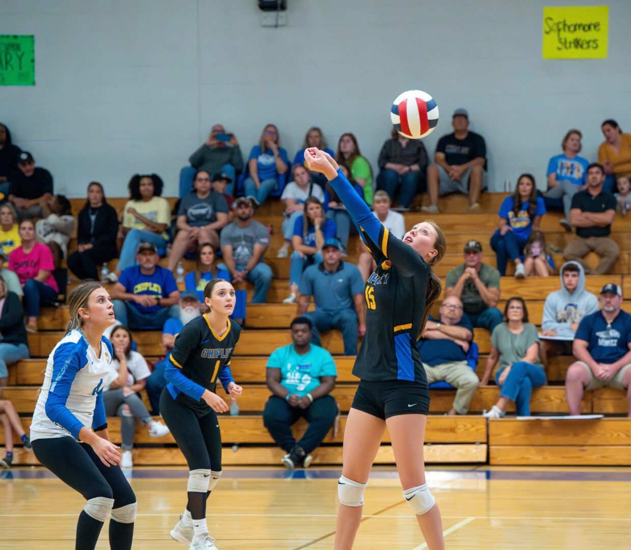 The Chipley Tigers volleyball team defeated the Jay Royals
