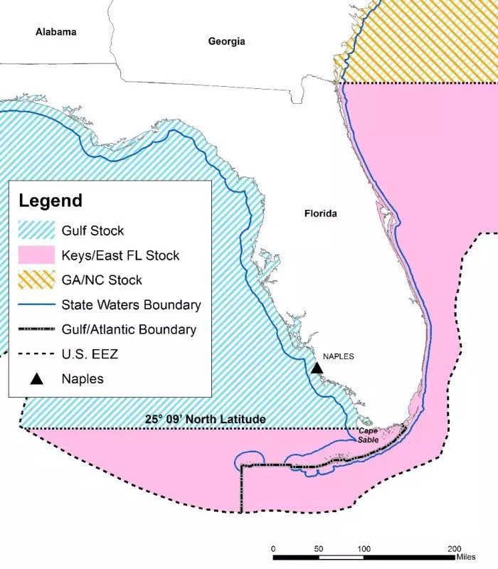 FWC announces closure of recreational hogfish harvest