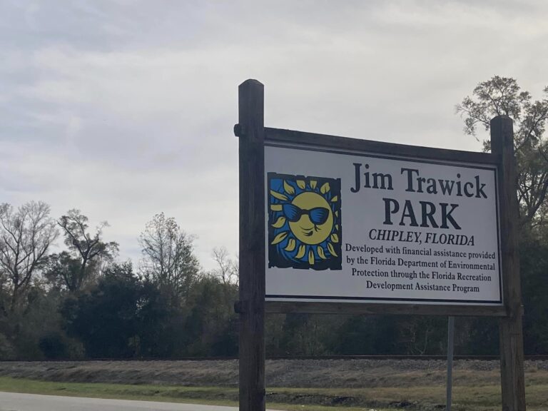 Chipley resident pitches idea for disc golf course at Jim Trawick Park