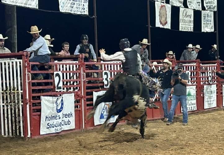 rodeo pat davis